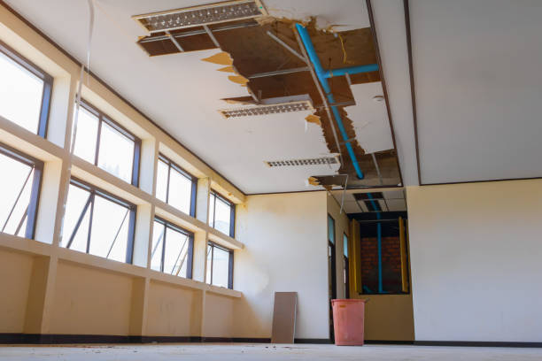 Carpet water damage restoration in Kalkaska, MI