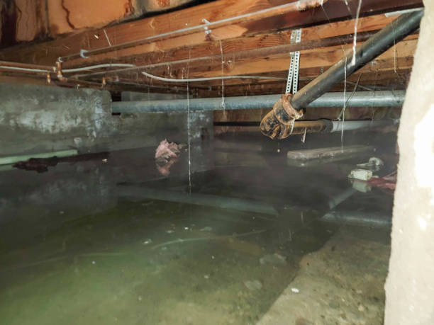 Best Water damage restoration company  in Kalkaska, MI