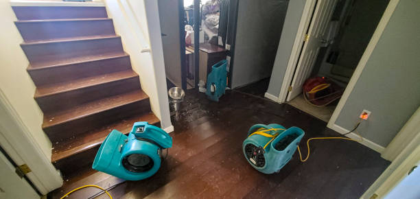 Best Flood restoration services  in Kalkaska, MI
