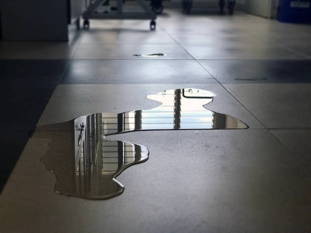 Best Water damage restoration near me  in Kalkaska, MI