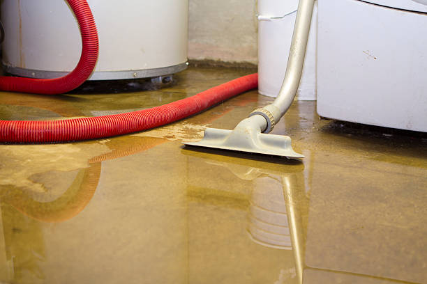 Best Ceiling water damage repair  in Kalkaska, MI