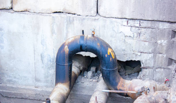 Best Water damage contractors near me  in Kalkaska, MI